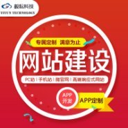 昭通网站建设系统开发